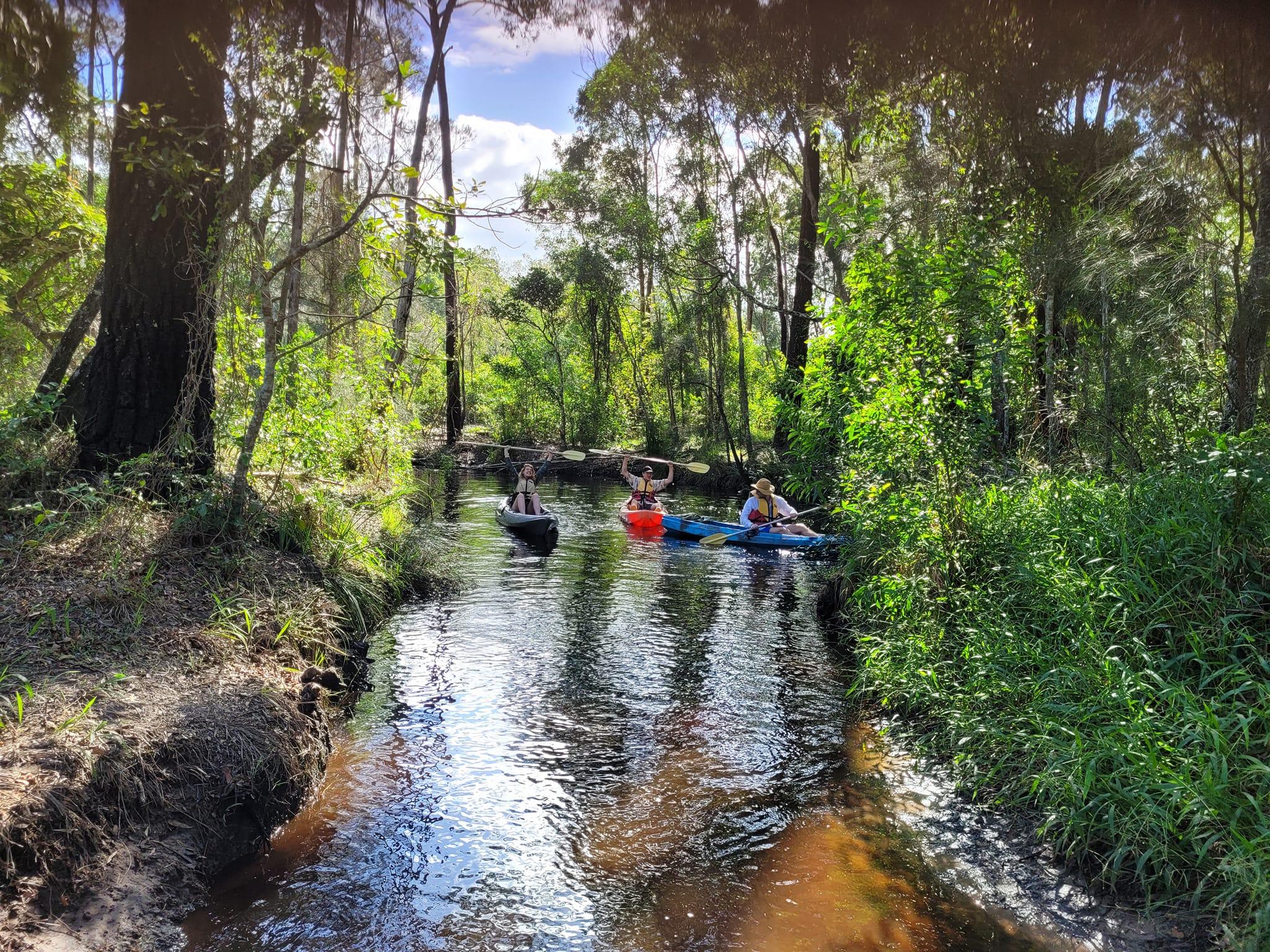 Things To Do In Iluka | AAA Kayak Tours