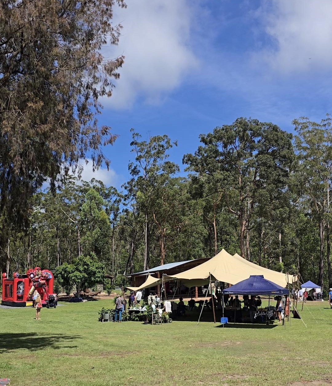 Tanamon Markets